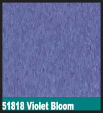 51818 Violet Bloom
